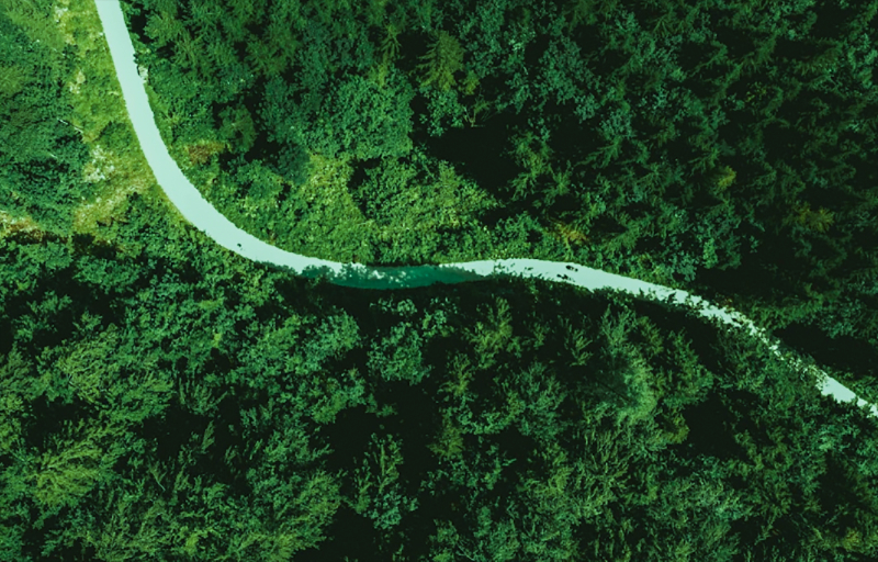 担责于身，推动绿色发展