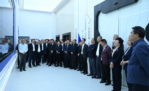宜兴市人大常委会、市政府领导一行莅临Z6·尊龙凯时股份考察