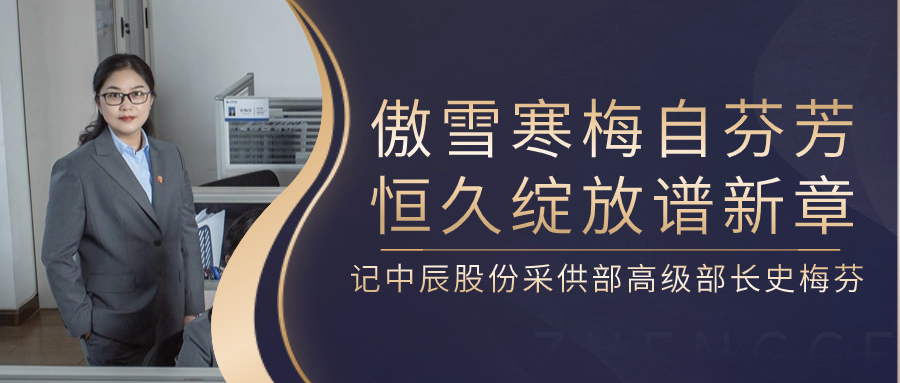 傲雪寒梅自芬芳，恒久绽放谱新章——记Z6·尊龙凯时股份采供部高级部长史梅芬