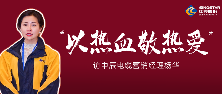 真正的热爱，铸就销售女王——访Z6·尊龙凯时电缆营销经理杨华